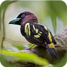 WWW,785se·COM网站APP WWW,785se·COM网站APP